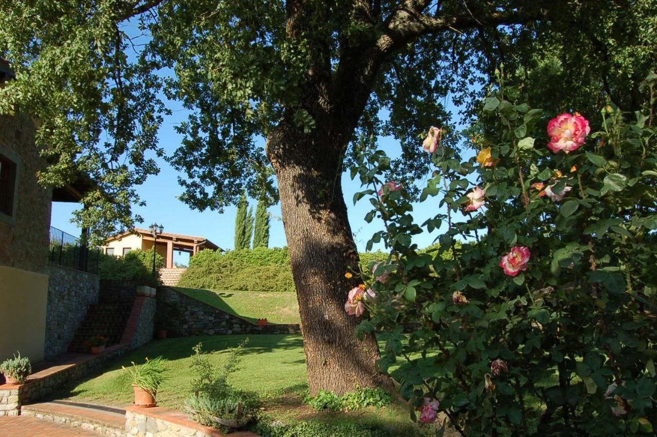 Agriturismo Il Palazzo Pergine Valdarno Zewnętrze zdjęcie
